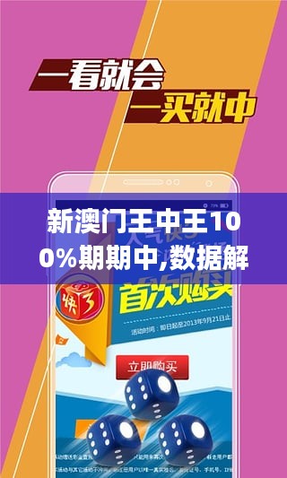 澳门王中王100%期期中,迅捷解答计划执行_安卓款82.640