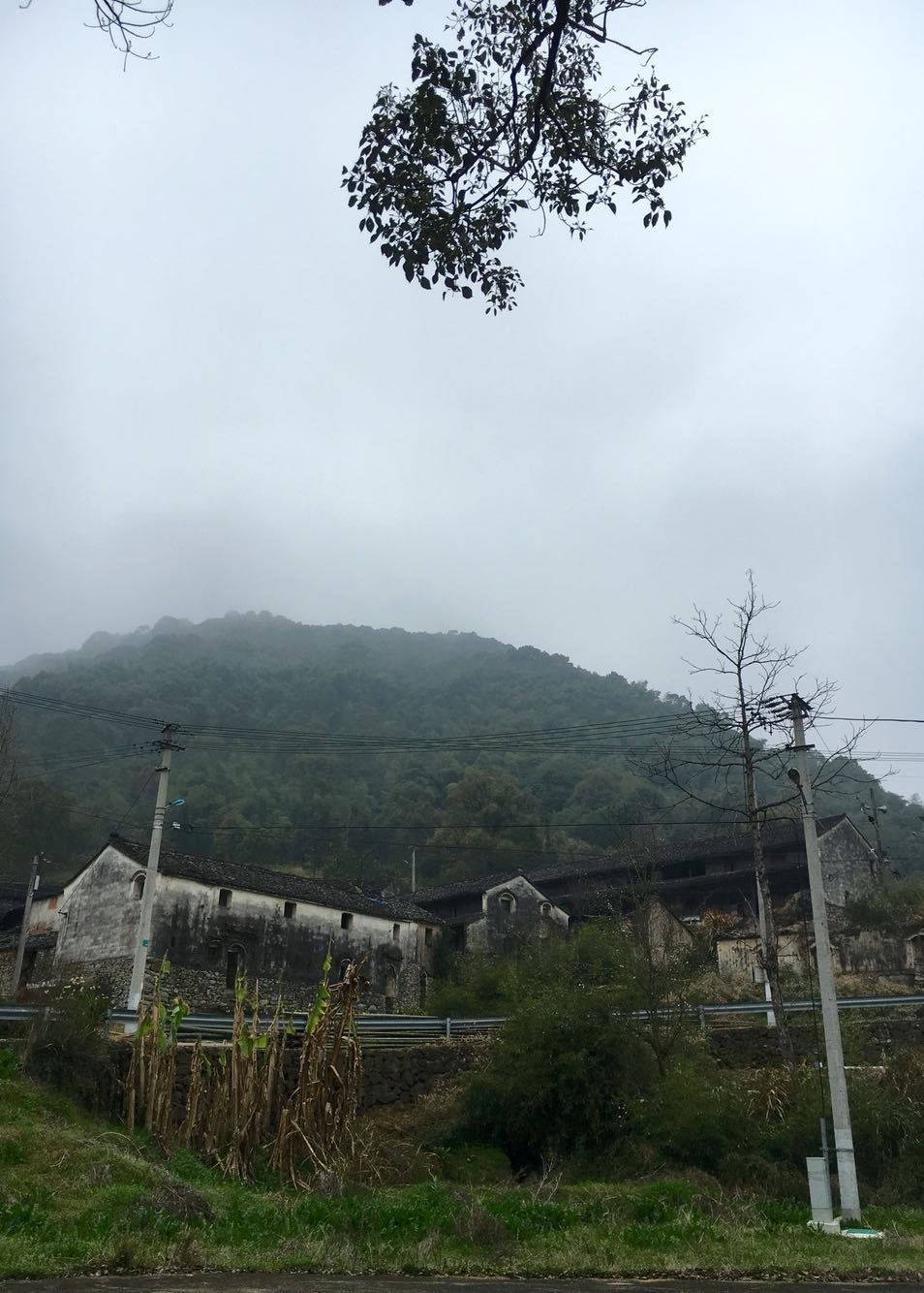 多成龙村天气预报更新通知