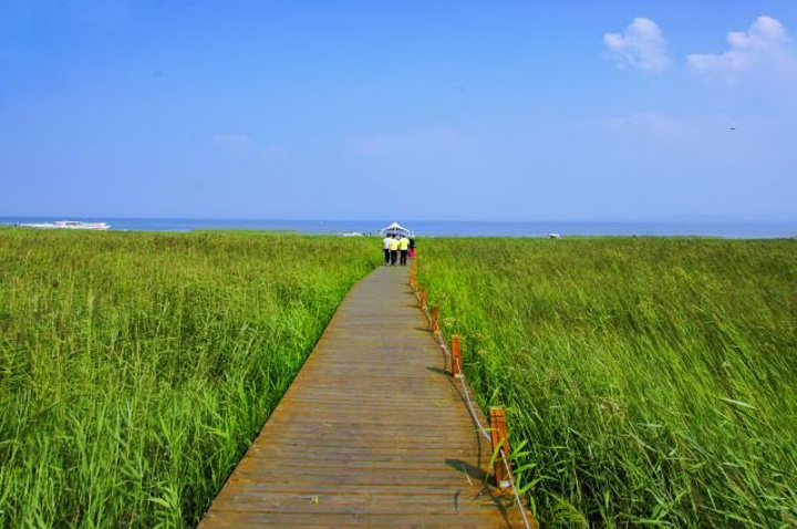 岱海林场最新交通动态报道