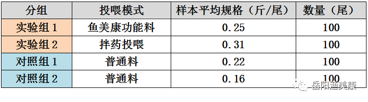 新澳门全年免费料,数据解析说明_Executive55.562