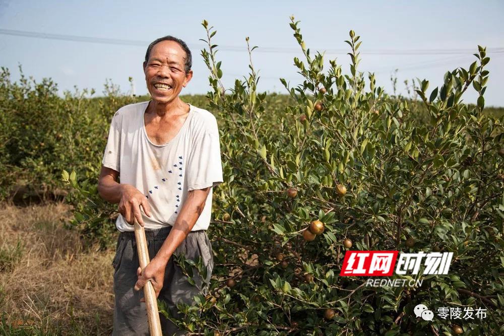 石山脚乡发展规划概览