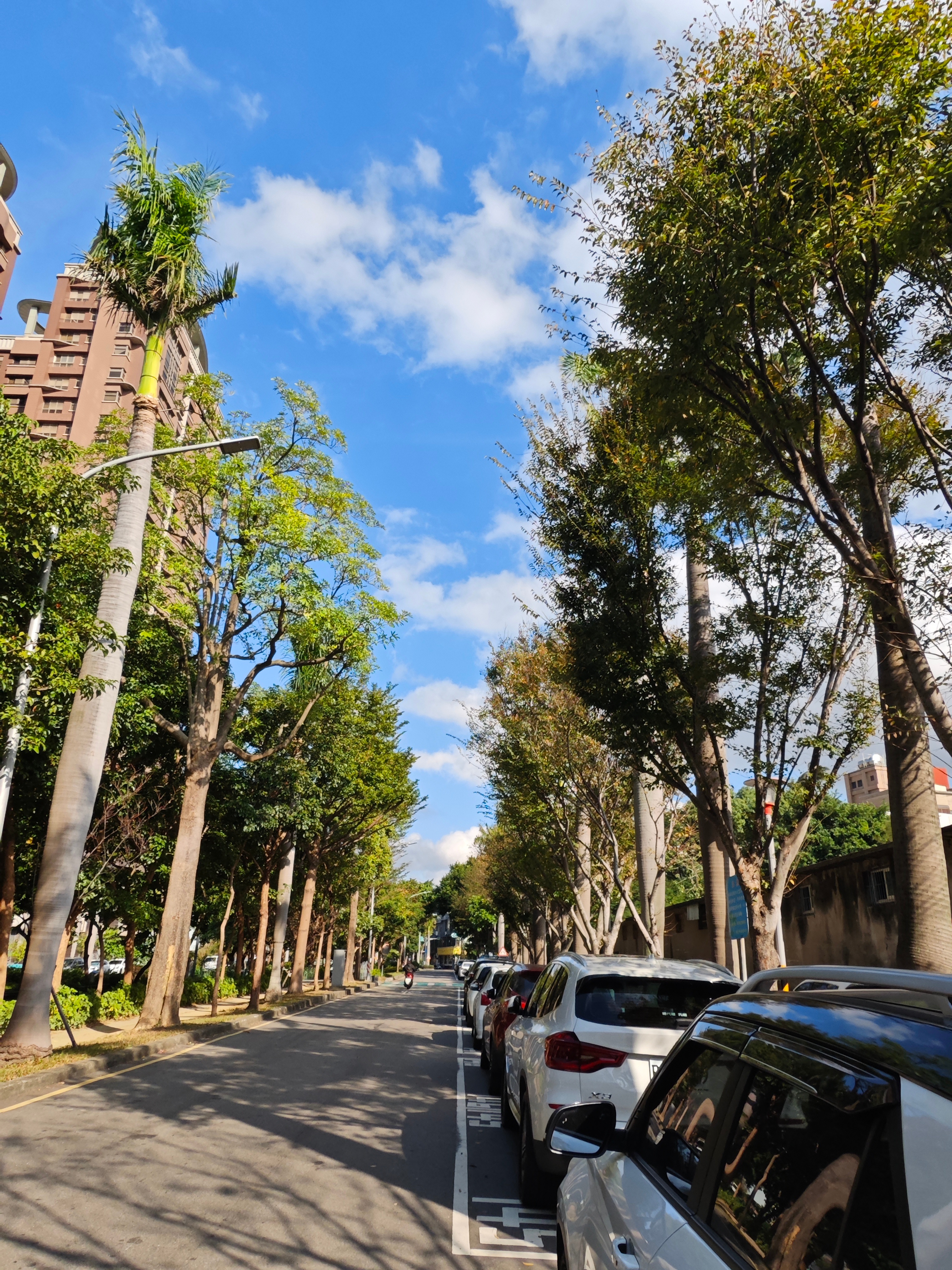 新竹街道天气预报与生活指南