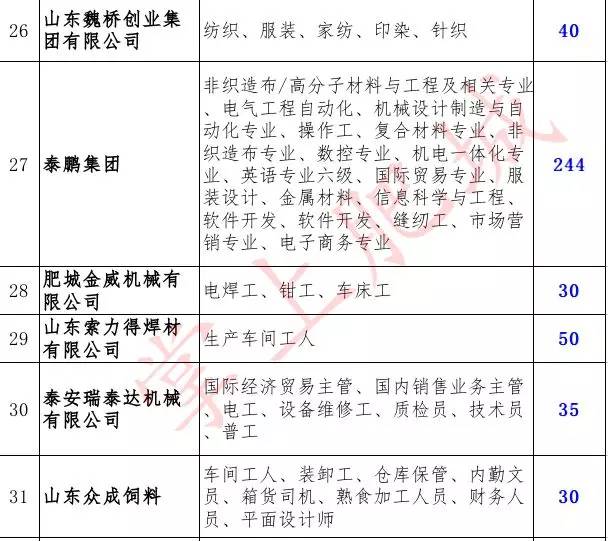 肥城市教育局最新招聘信息全面解析