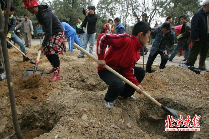 古树村民委员会启动振兴乡村项目，共创美好未来