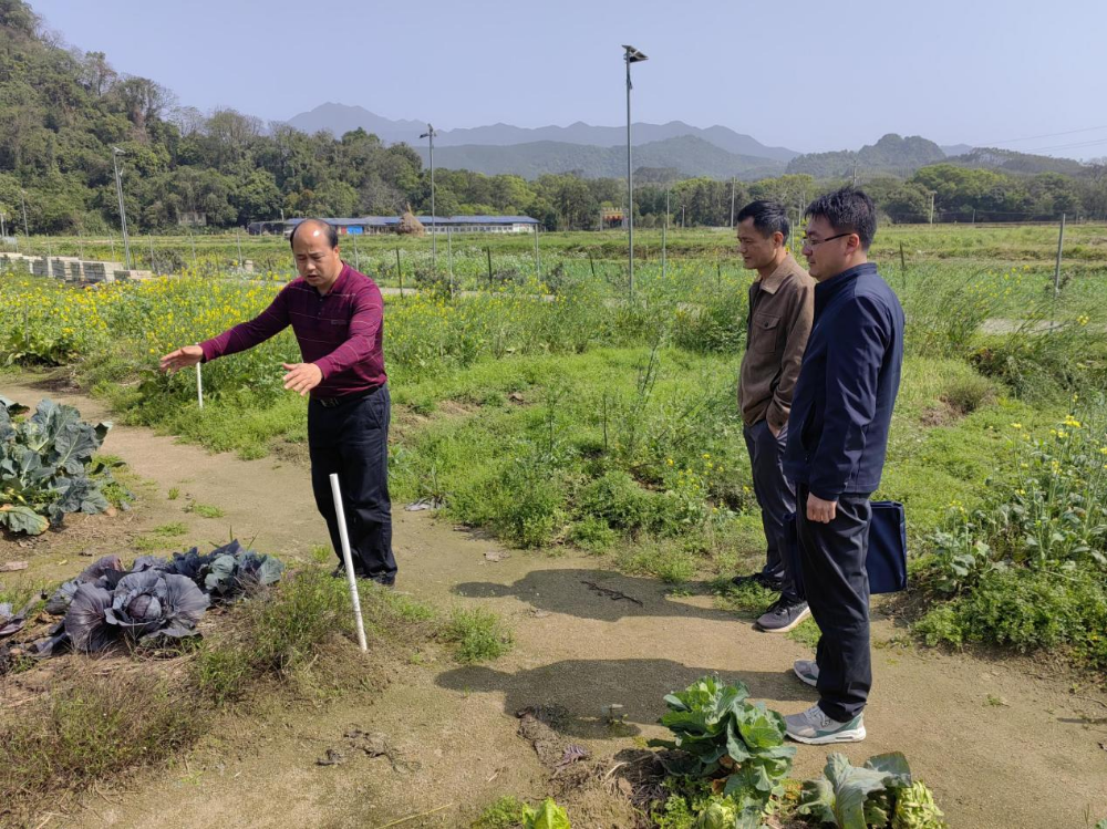 禾洞农林场最新新闻动态报道