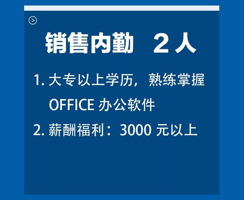 委日村最新招聘信息详解，概览及解读