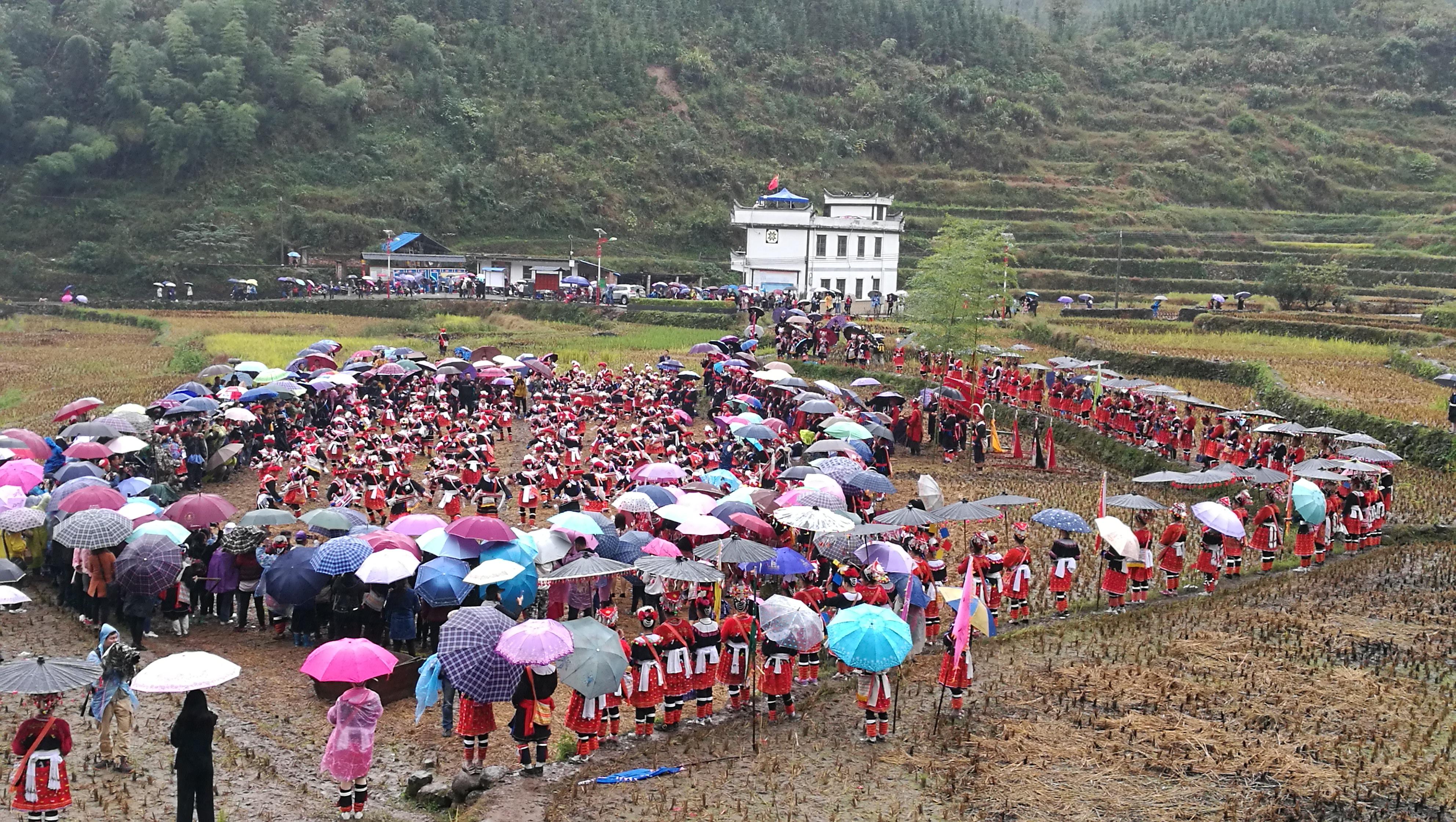 浆洞瑶族乡天气预报更新