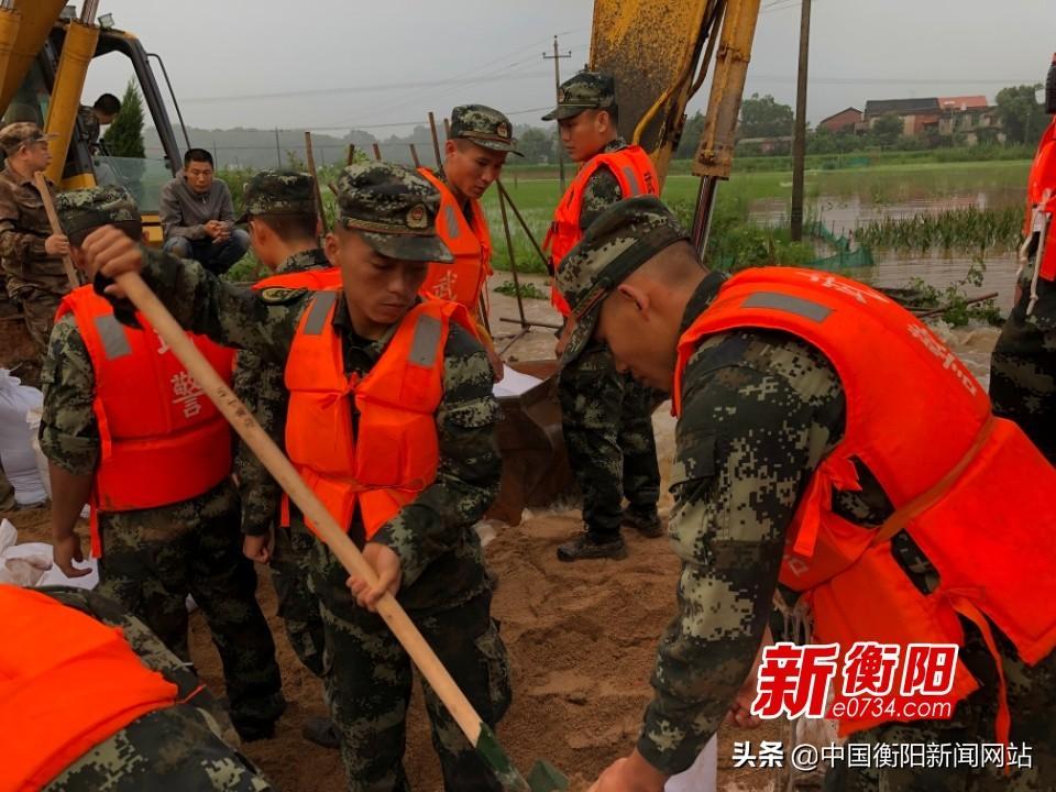 水堤村发展规划概览，最新蓝图揭秘