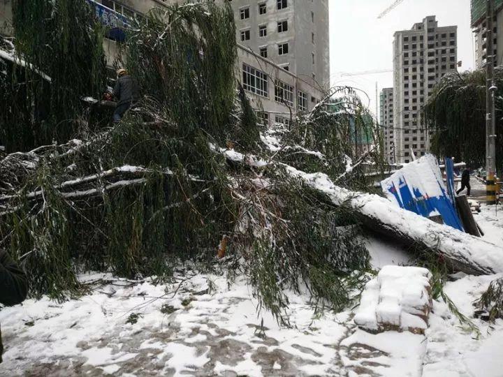 固原市园林管理局最新发展规划概览