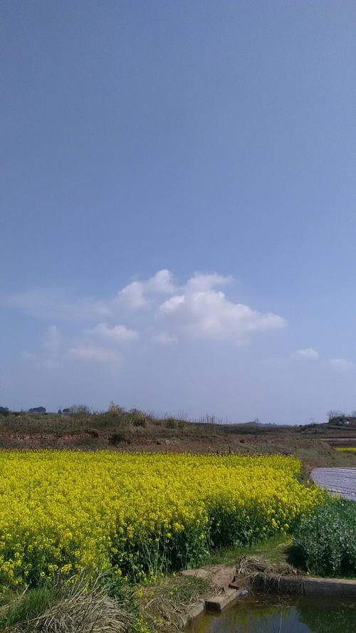 角山乡天气预报更新通知